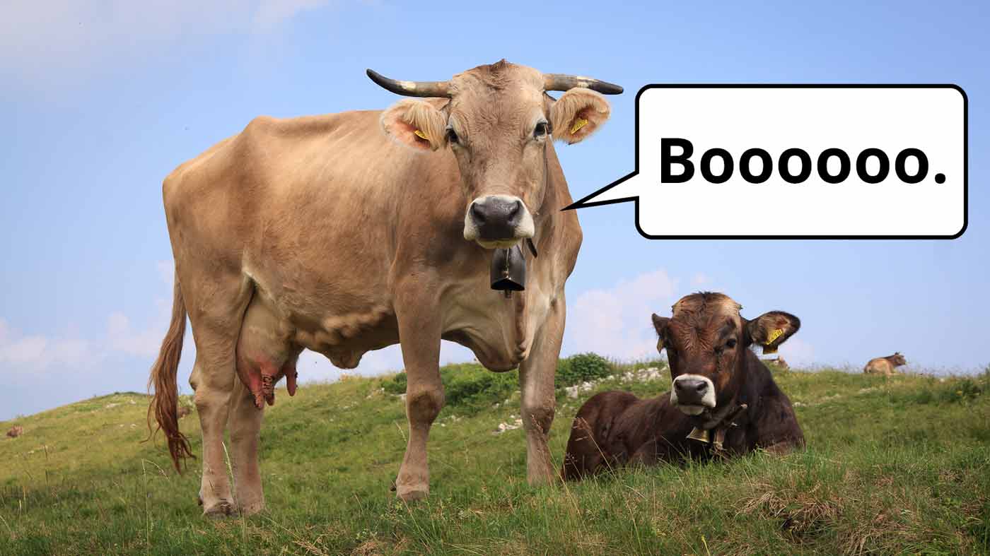 170615-revenue-growth-boo-cows.jpg