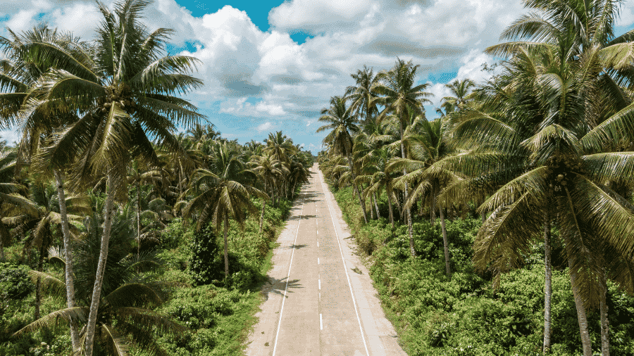 Journey to a Fractional CMO: How an Outsourced Accounting Services Firm Found the Right Fit