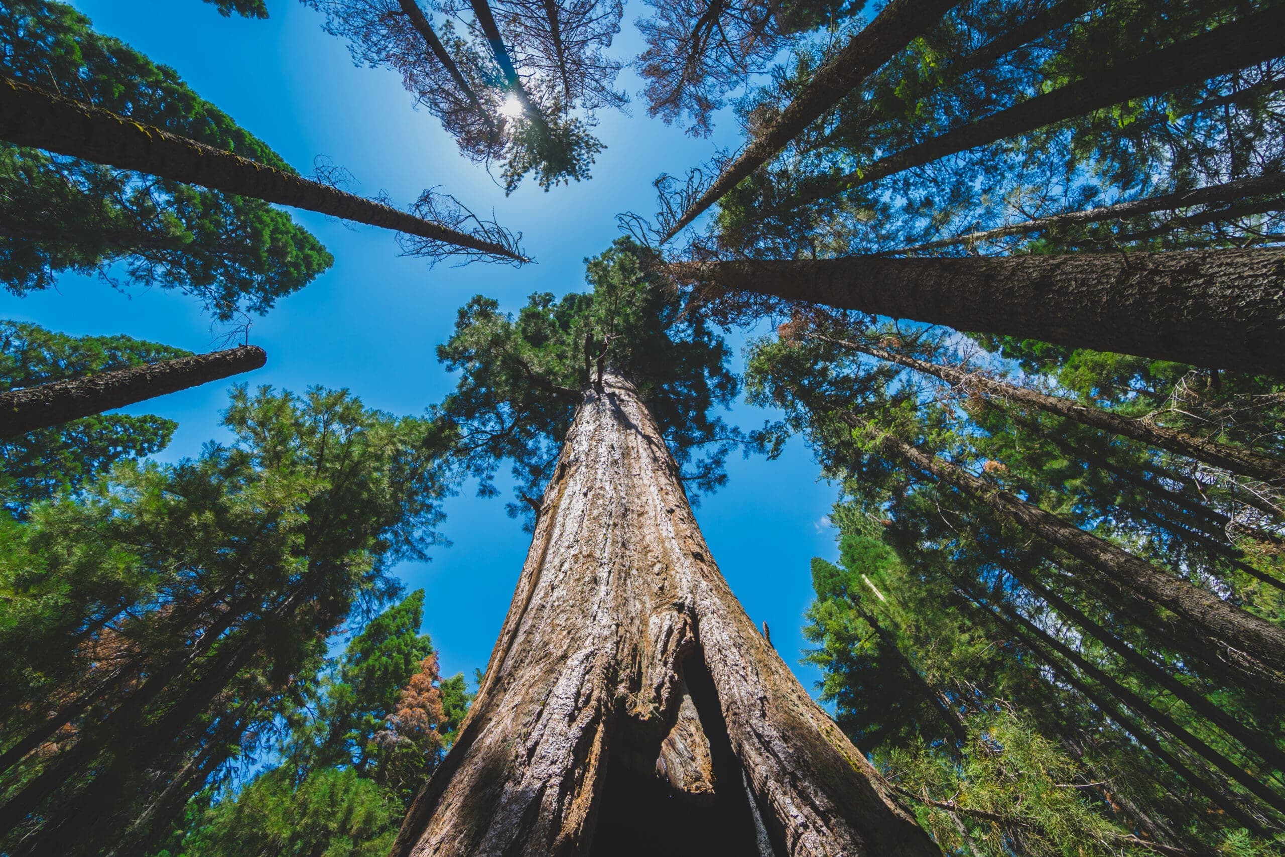 Why Fractional Marketing Is On The Rise — And How It Can Fuel Growth