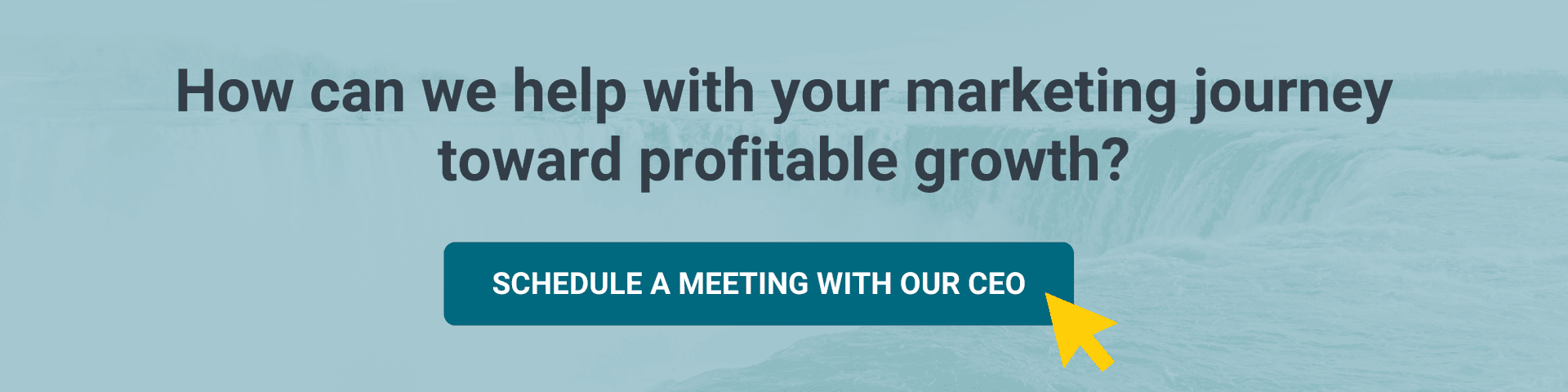 Schedule a Meeting