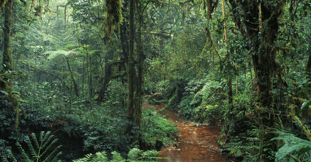 Lost in the Numbers Jungle? Unearth the Story Behind Your Marketing Data