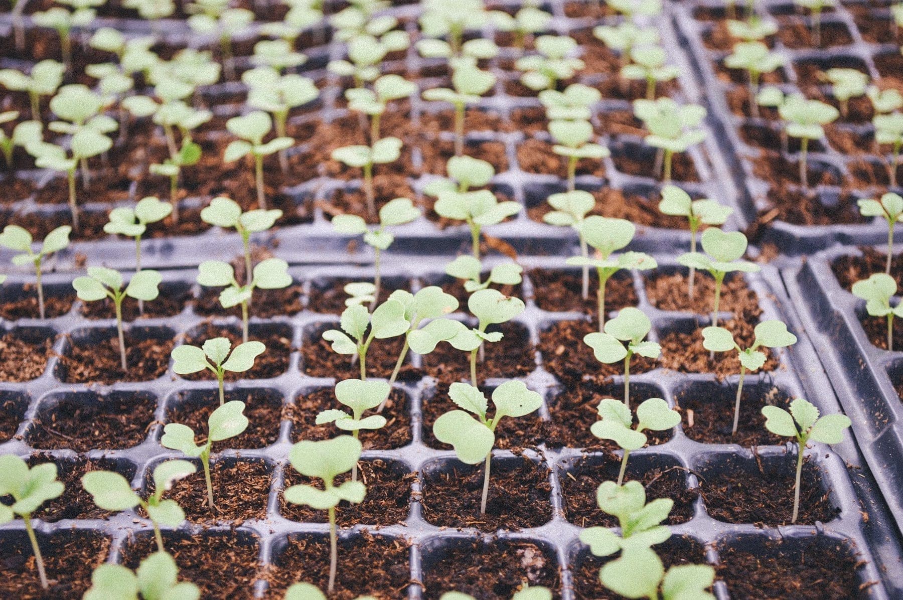 7 Steps to Hiring the Right Marketing Talent for Growth