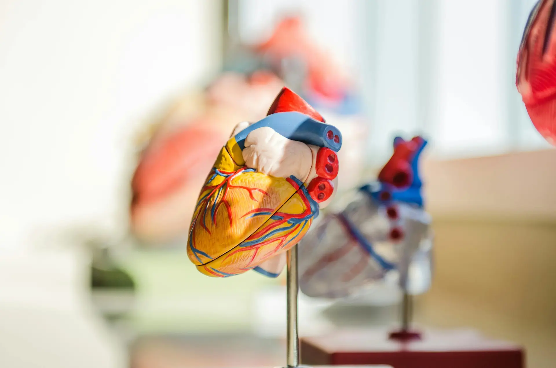 How Physician-Led Healthcare Platforms Build Brand Credibility Fast