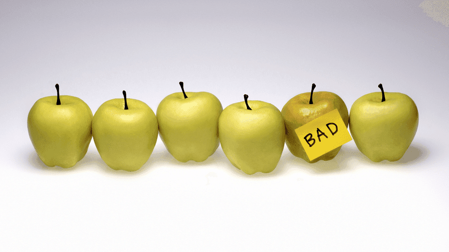 Martha Stewart – The Only Bad Apple at INBOUND 2014