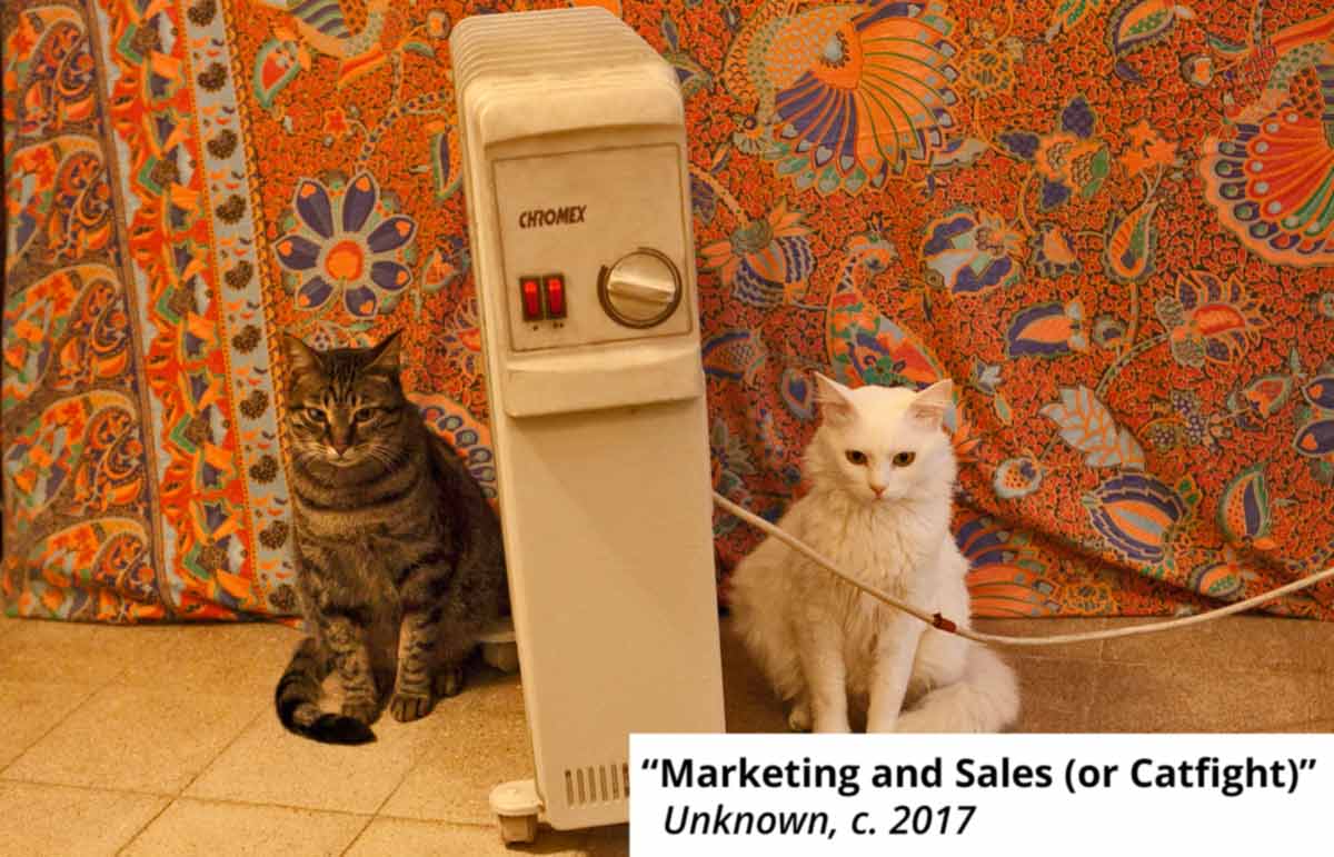 The Revenue Team: How to Get More From Marketing and Sales