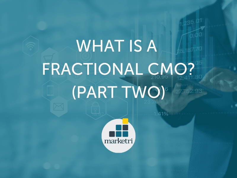 How a Fractional CMO Works (Part 2)