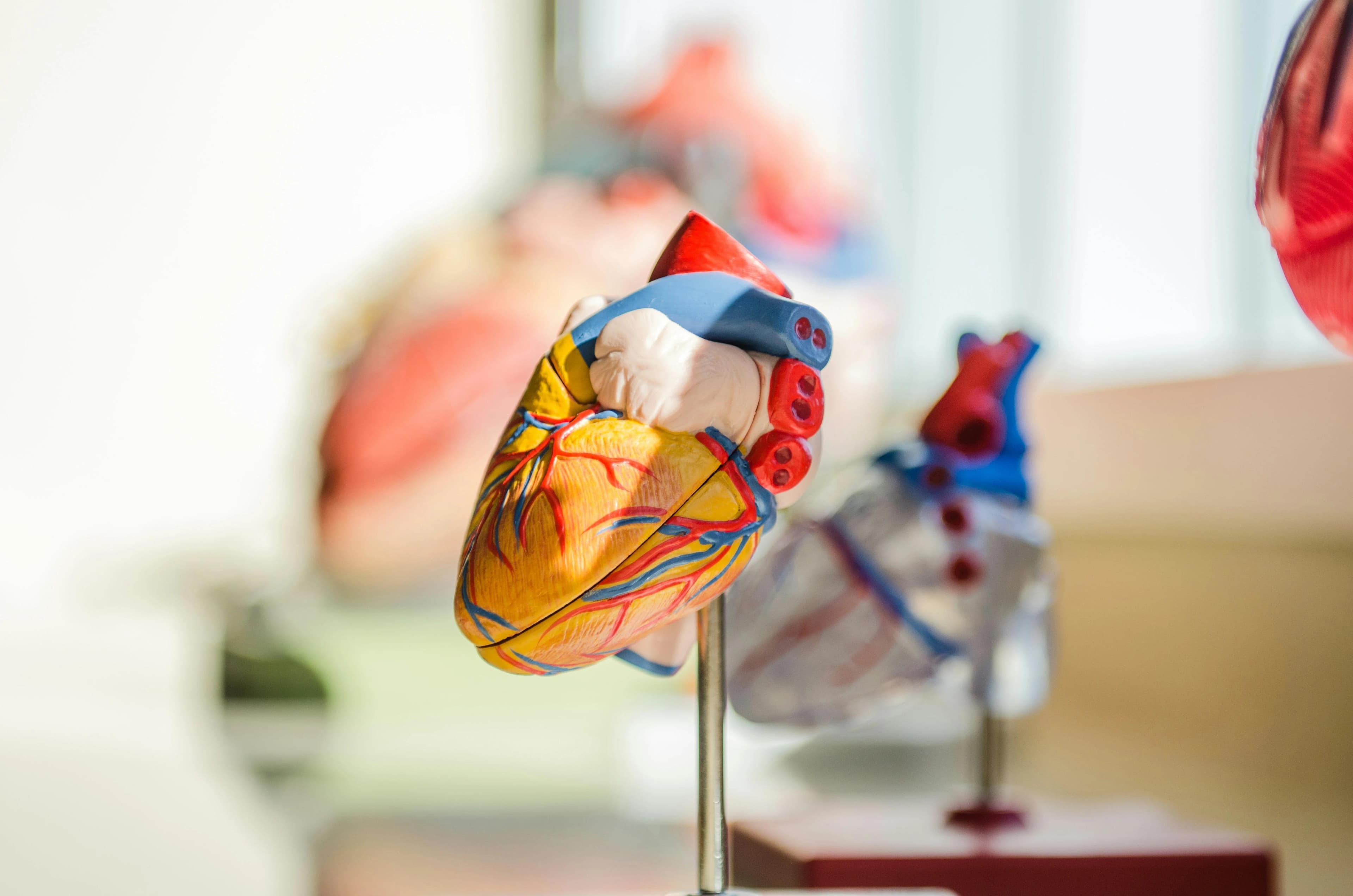 A National Cardiology Platform Becomes the #1 AI-Search-Ranked Physician-Led Platform in the Country