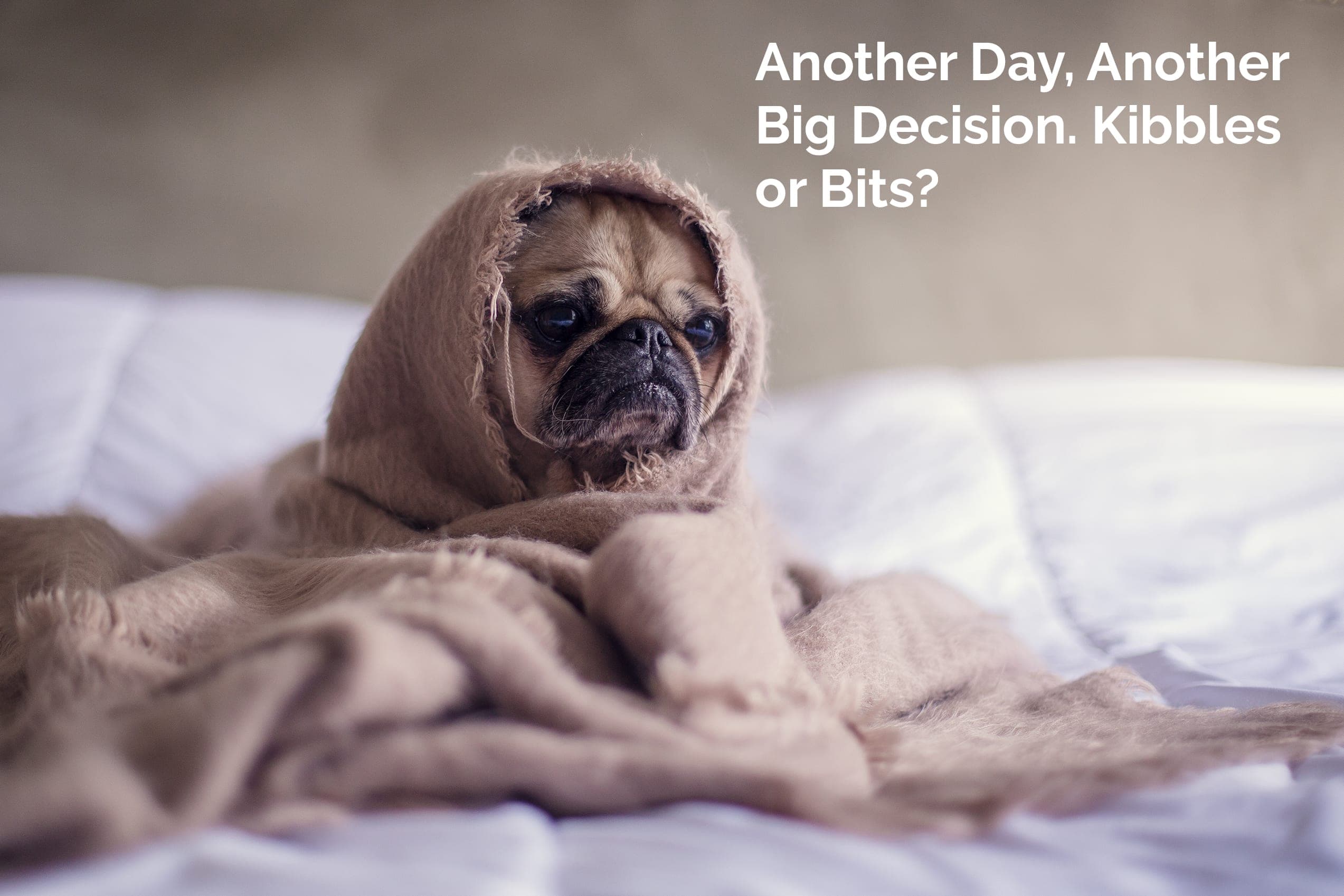 7 Actionable Ways to Prepare Your Marketing Strategy for the Future
