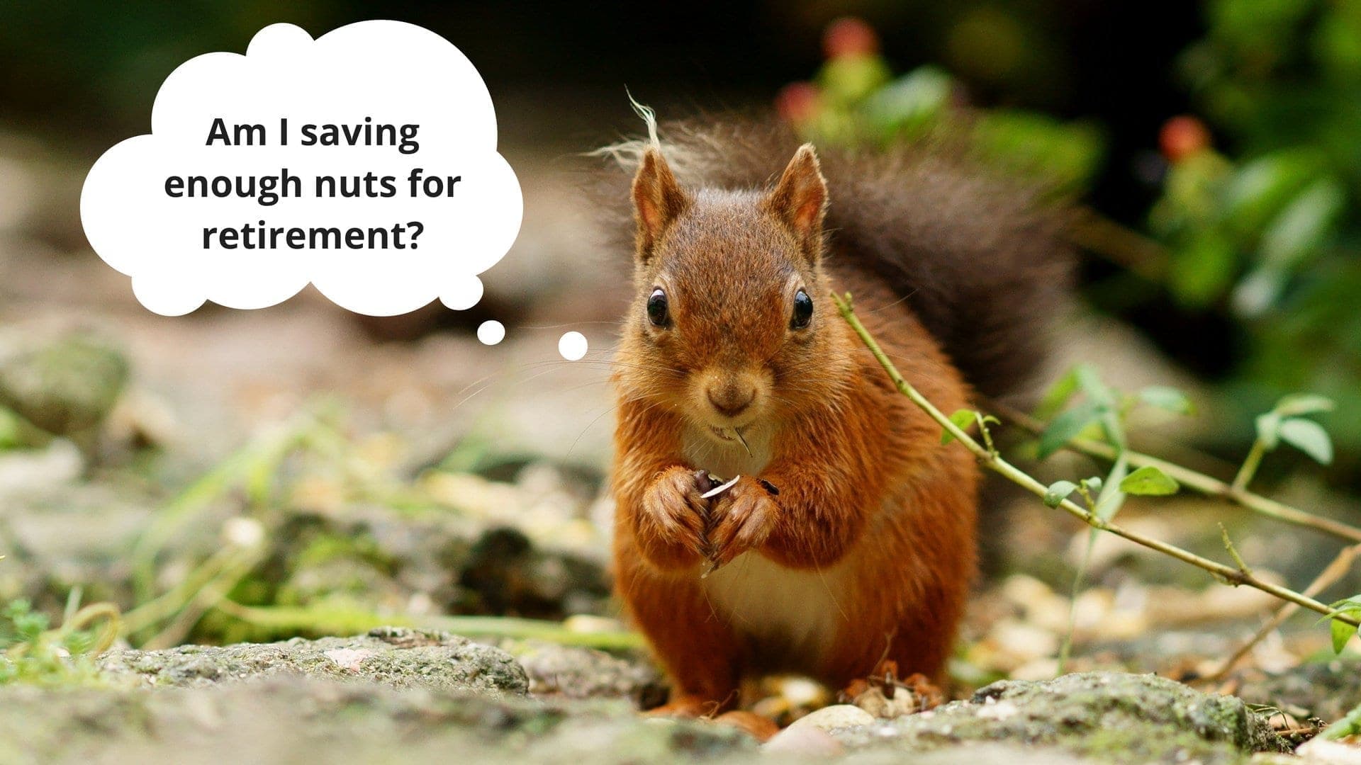 Thoughts on Content Marketing for Growth
