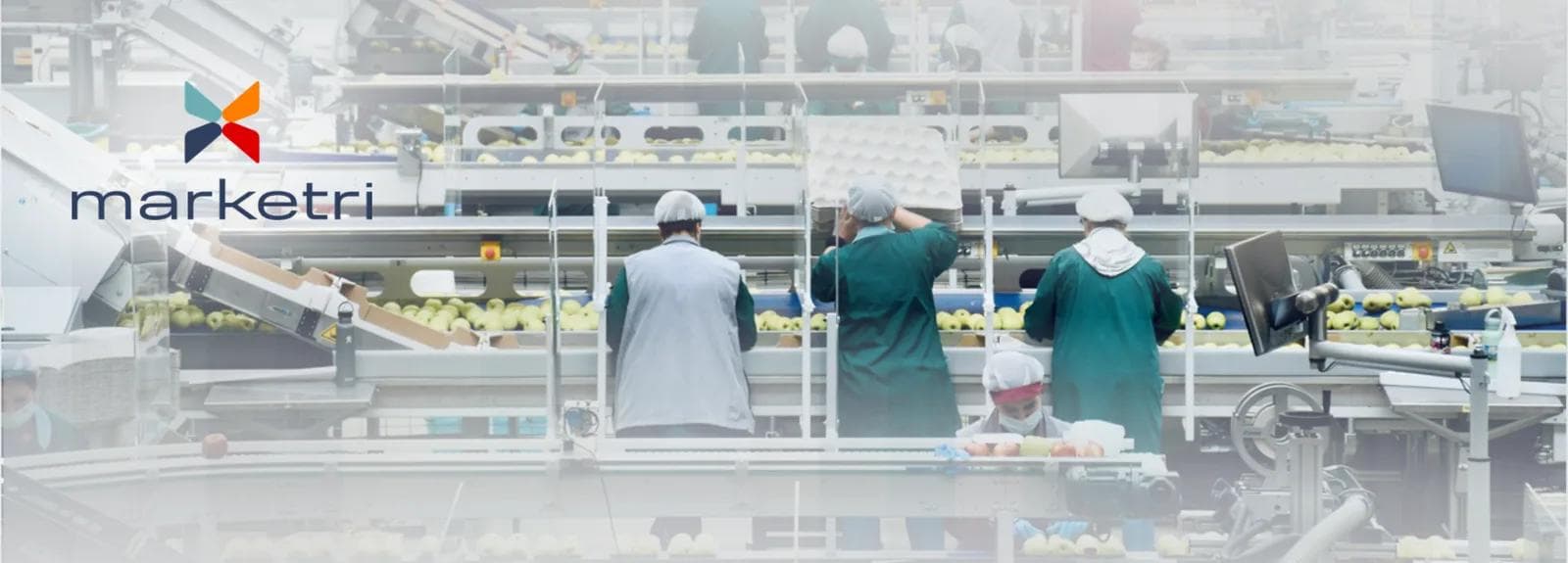 Manufacturing Case Study: A Packaging Company's Entry Into a New Market