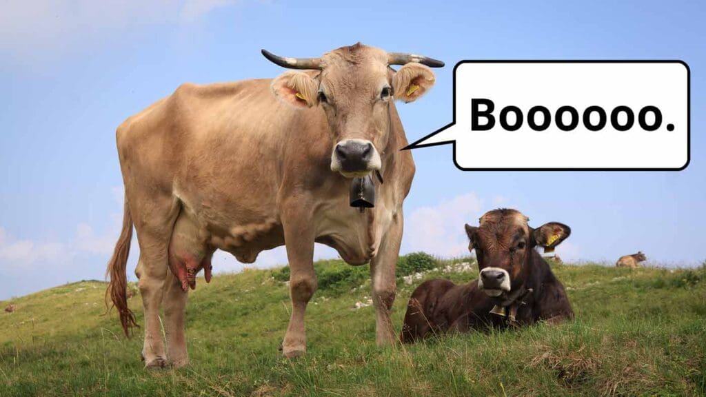 170615-revenue-growth-boo-cows